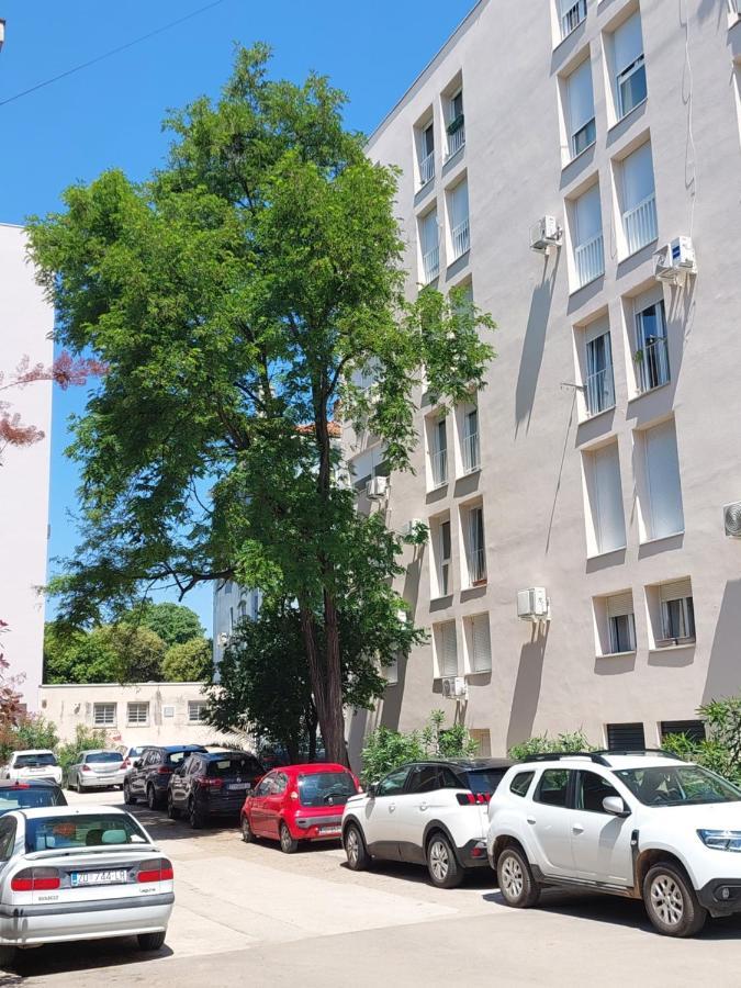 Marinero Apartment Zadar Eksteriør bilde
